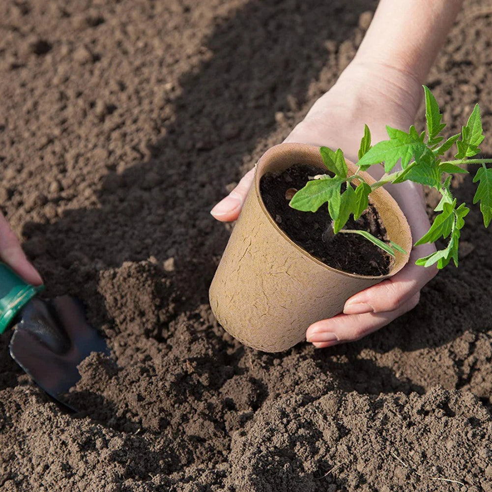 Biologisch Abbaubare Anzucht-Töpfe aus Papiermasse: Die Ideale Wahl für Umweltbewusste Gartenliebhaber - Dein Shop - dauerhaft günstig!